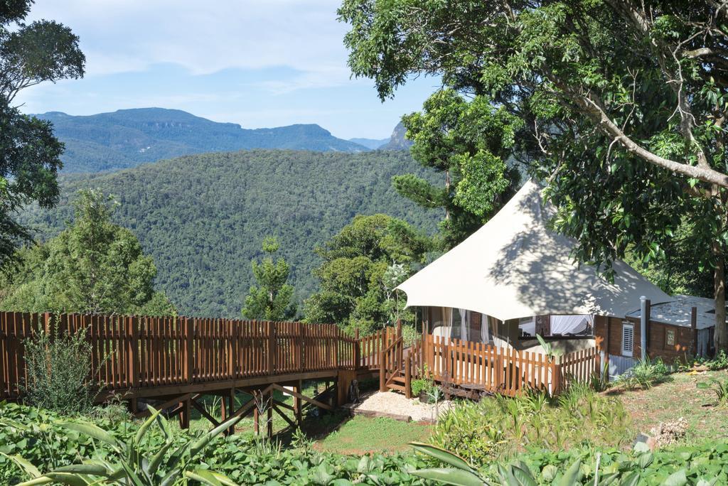 Clouds Safari Hotel Beechmont Ngoại thất bức ảnh